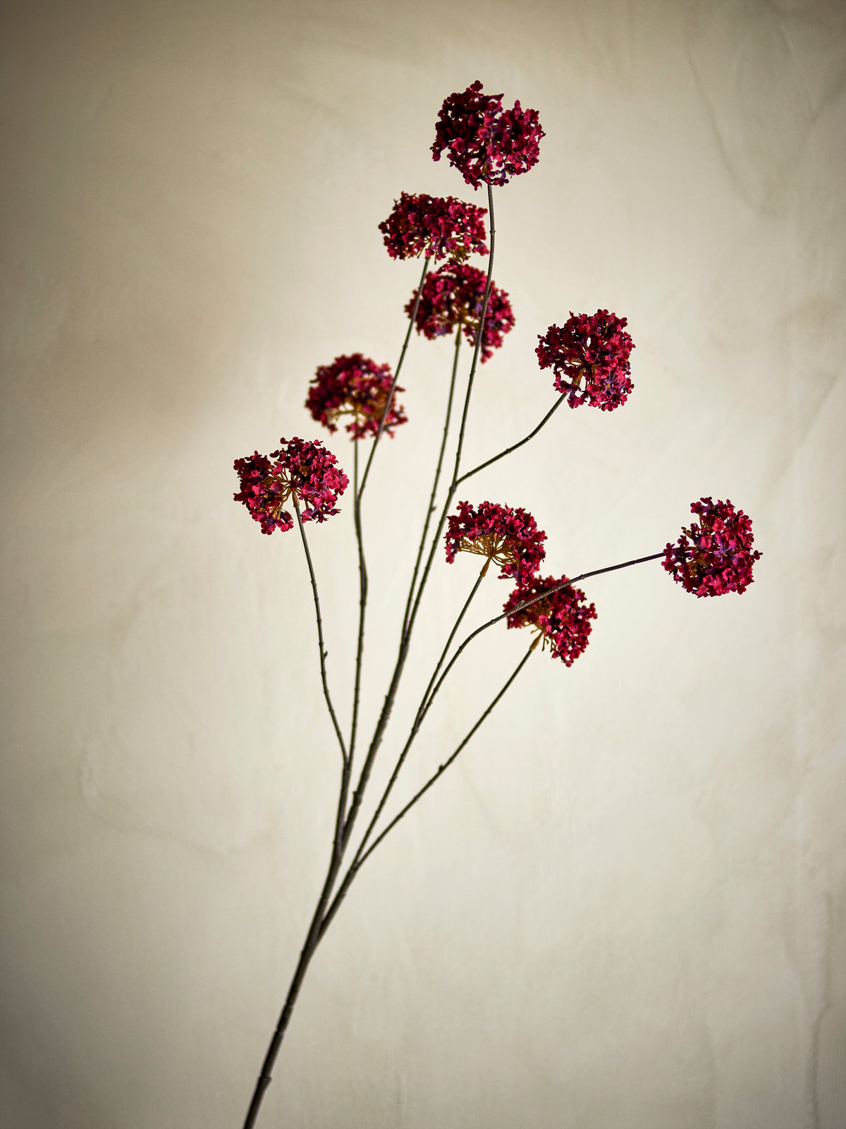 Kunsttak Ruby - rood